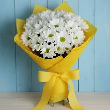 Букет цветов из:  Хризантемы в Краснознаменске Калининградской области