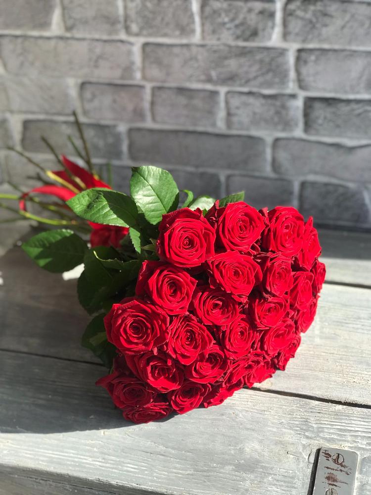 Букет Красные розы Фридом в Краснознаменске Калининградской области