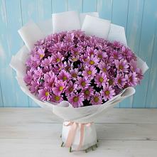 Букет цветов из:  Хризантемы в Краснознаменске Калининградской области