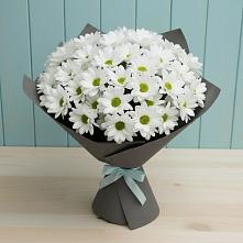 Букет цветов из:  Хризантемы #REPLACE_PRED# Краснознаменске Калининградской области