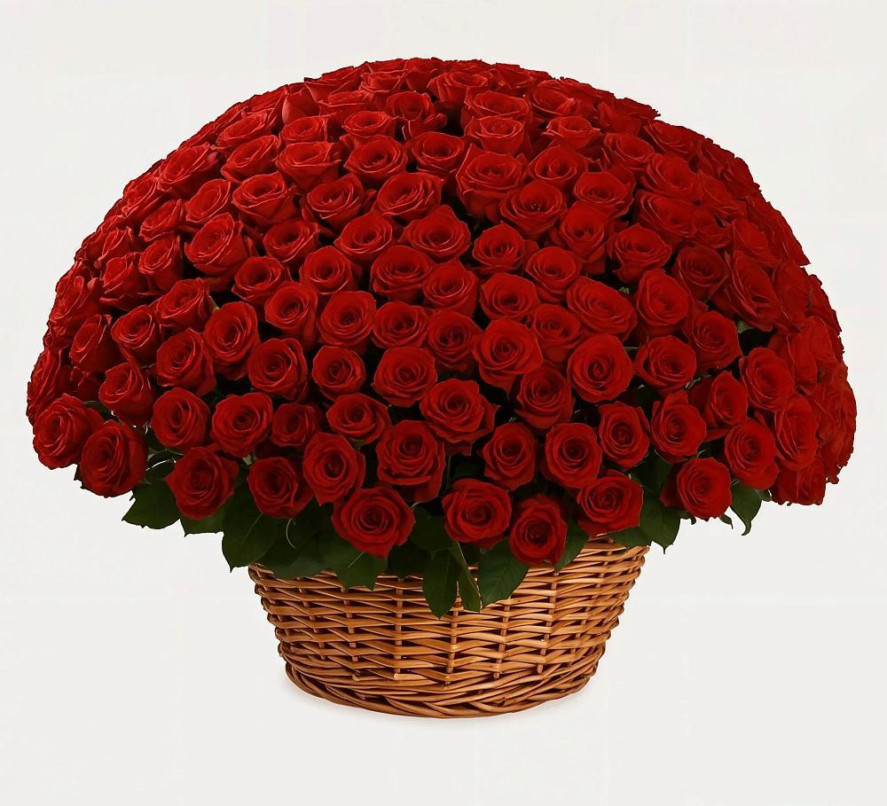 Премиум букет из: Розы в Краснознаменске Калининградской области