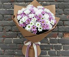 Букет цветов из:  Хризантемы #REPLACE_PRED# Краснознаменске Калининградской области