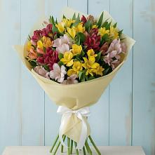 Букет цветов из:  Альстромерии в Краснознаменске Калининградской области