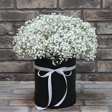 Цветочная композиция из Гипсофила в шляпной коробке в Краснознаменске Калининградской области