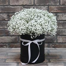 Цветочная композиция из Гипсофила в шляпной коробке в Краснознаменске Калининградской области