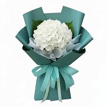 Букет цветов из:  Гортензия #REPLACE_PRED# Краснознаменске Калининградской области